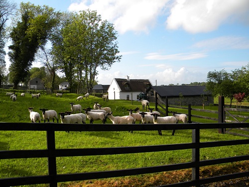 thatched cottage